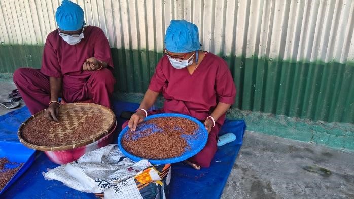 Mazang Sani nutritional supplement