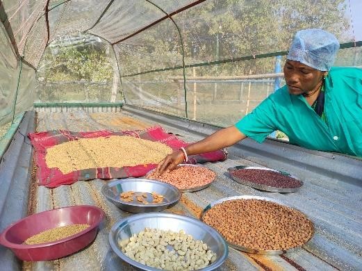 Community food processing and crops